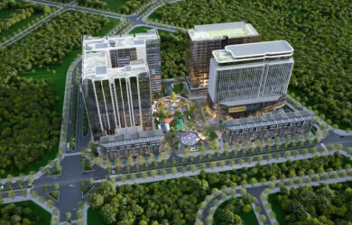 D’.Diamant Bleu Việt Hưng